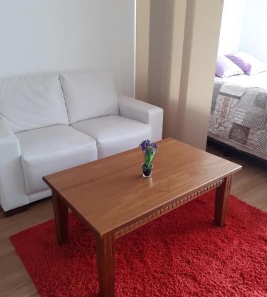 Apartamento en Punta Carretas con Parking