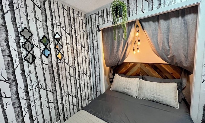 Old Enfield Apartment | Downtown Bungalow -walking distance to parks, restaurants, and everything !