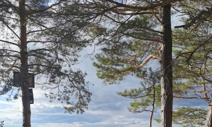Tiny House | 3 Bdrm Family Escape - Steps from Sandy Beach!