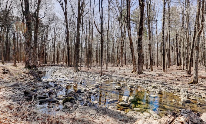 Palenville Other | Cozy and quiet 1850's Saxton Creek Farmhouse close to Saugerties, Woodstock