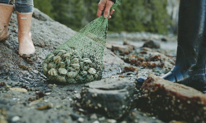 Mansons Landing Cabin | Cortes Beach house Relaxing cottage on the ocean