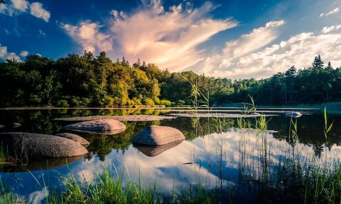 Montredon-Labessonnie Cottage | Cottage Familial : Les Vignes