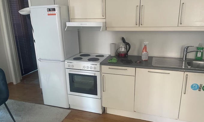 Oslo City Centre Apartment | Grand center apartment