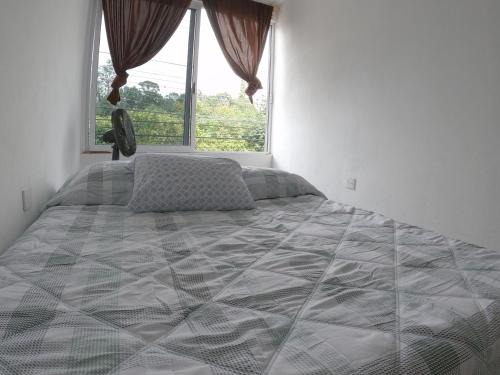 Xalapa Bed & Breakfast | LaXalapeñaIsleta